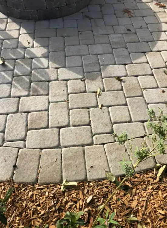 486692132_1281409383984519_5034488298695354871_n